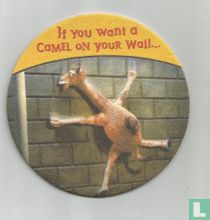 If you want a Camel on your wall...
