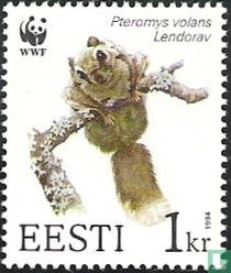 Europäisches Gleithörnchen kaufen