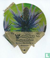 Milfina - Alpenmannstreu