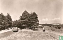 Bergen (N.H.), Zeeweg
