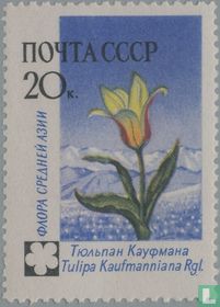 Mountain Flowers