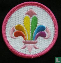 Gay Scout