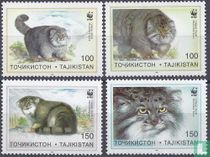 Manul