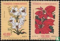 Blumen kaufen