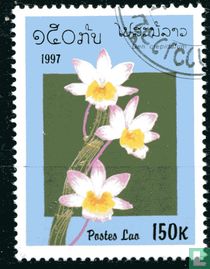 Orchidées