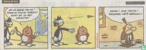 Heinz the cat