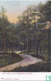 Dreef in Mastbosch