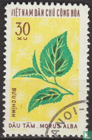 Plants used for the textile industry