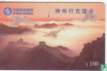 The Chinese Wall
