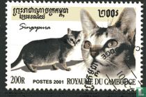 Katzen