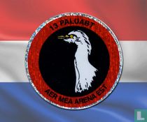 13 PALUABT