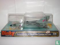 Panavia M.R.C.A. MultiRole Combat Aircraft