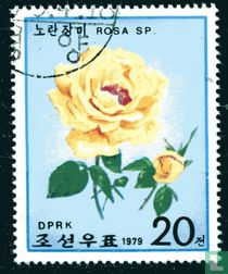 Rozen
