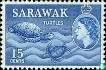 Tortues