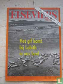 Elsevier 28