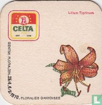 Lilium Tigrinum