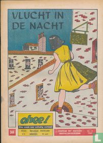 Vlucht in de nacht kaufen