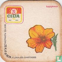 Salpiglossis