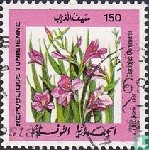 Fleurs acheter