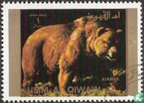 Rare animals   