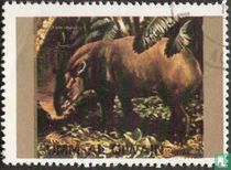 Rare animals   