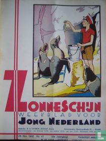 Zonneschijn 47