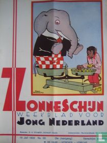 Zonneschijn 28