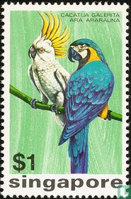 Oiseaux  