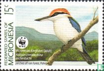 WWF - Birds 