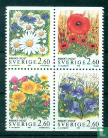 Summer flowers