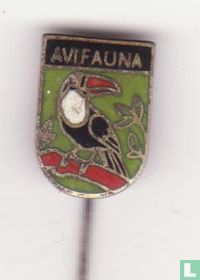 Avifauna (toucan)