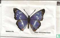 Apatura iris - Grote weerschijnvlinder