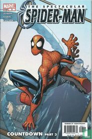 The Spectacular Spider-Man 8