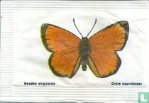 Heodes virgaurea - Grote vuurvlinder