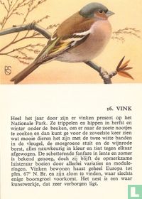 Vink