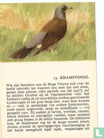 Kramsvogel