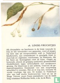 Linde-Vruchtjes