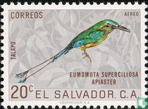 Birds   