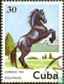 Pferde, HORSE TRAINING. DOMA DE CABALLOS.