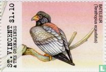 Vogels