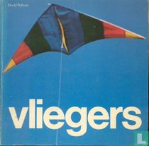 Vliegers