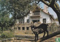 Bungalowpark Cantecleer