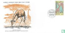 Safari