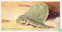 Pelycosaurus