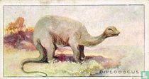 Diplodocus