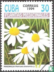 Medicinale planten kopen