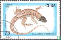 Lézards