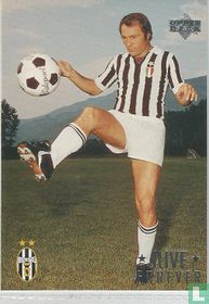 Altafini