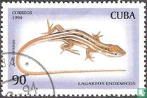 Lézard