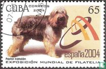 España 2004 dogs